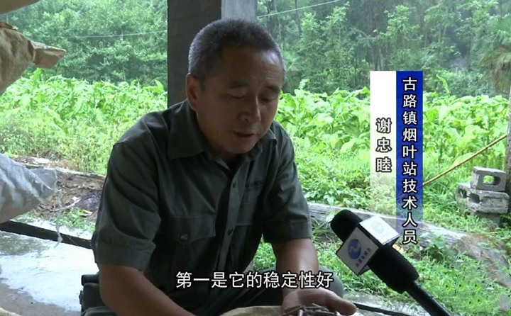 緊緊抓住木屑造粒機生物質(zhì)顆粒燃料加工場地建設(shè)項目落地的契機，找準(zhǔn)結(jié)合點，推動共和綜合服務(wù)型煙農(nóng)專業(yè)合作社與生物質(zhì)顆粒燃料加工廠的緊密合作.jpg