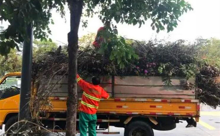 園林綠化廢棄物再利用，南京棲霞年處理量超3萬噸.jpg
