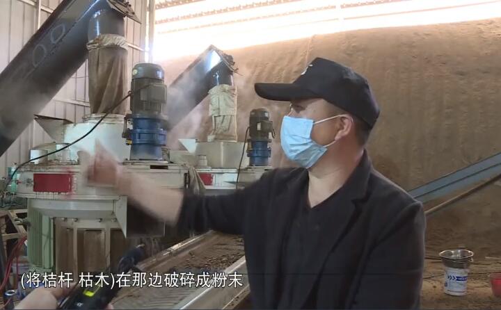 將桔桿、枯木在那邊破碎成粉末，然后經過這兩個造粒機的碾壓，形成這種顆粒燃料出來，形成最后的產品.jpg